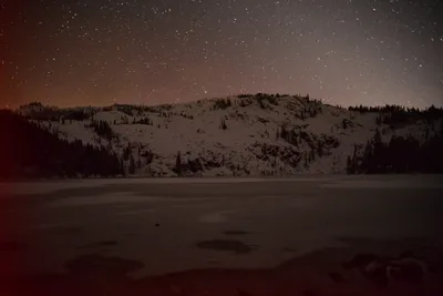 DSC_5985 (Large).JPG